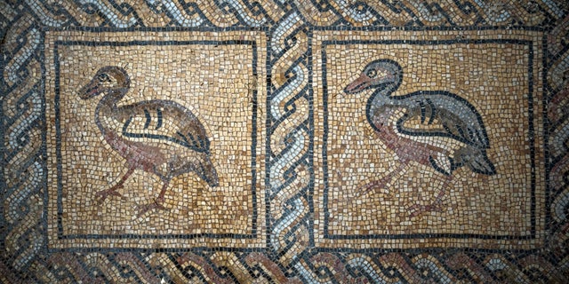 Detail of part of a Byzantine-era mosaic floor recently discovered by a Palestinian farmer in Bure, central Gaza, on September 5, 2022. 