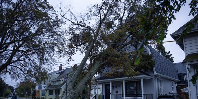 Ian Livingstone surveys the damage to his house from a fallen tree early in the morning in Halifax on Saturday, Sept. 24, 2022 as post tropical storm Fiona continues to batter the area.
