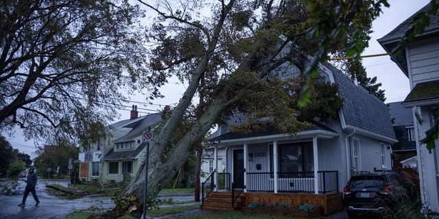 Ian Livingstone surveys the damage to his house from a fallen tree early in the morning in Halifax on Saturday, Sept. 24, 2022 as post tropical storm Fiona continues to batter the area.