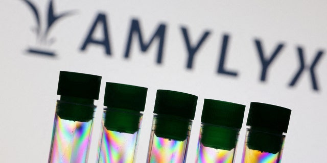 Test tubes are seen in front of Amylyx logo in this illustration, July 24, 2022. 