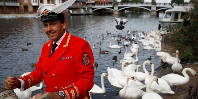 The Royal Swan Marker David Barber stands by the River Thames, following the death of Britain's Queen Elizabeth on September 12, 2022.