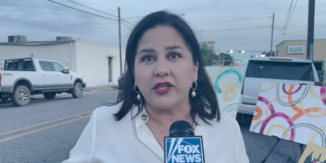 Cindy told G3 Box News her neighbors had their pet dogs killed before migrants robbed them. 