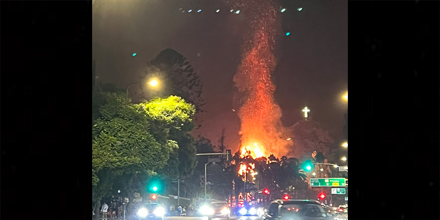 The Los Angeles Fire Department quickly arrived at the scene and rushed to put out a small cluster of palm trees that had caught on fire.