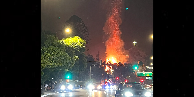 The Los Angeles Fire Department quickly arrived at the scene and rushed to put out a small cluster of palm trees that had caught on fire.