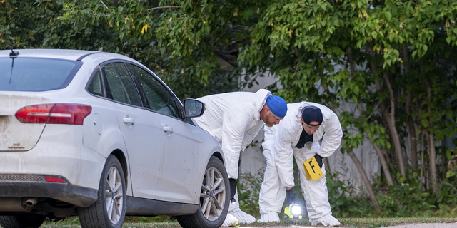 Investigators examine the ground at the scene of a stabbing in Weldon, Saskatchewan on Sunday, Sept. 4.