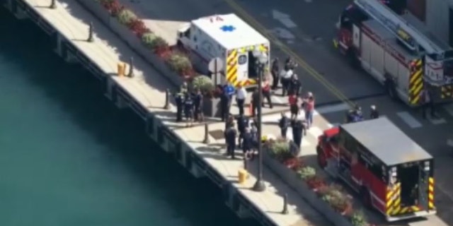 First responders stand on Navy Pier in Chicago after a 3 year old was allegedly pushed into Lake Michigan by his aunt.