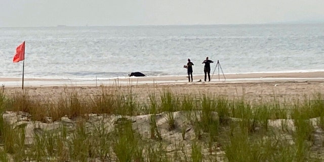 New York Police investigators examine a stretch of beach at Coney Island where three children were found dead in the surf Monday, Sept. 12, 2022, in New York. 
