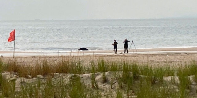 New York Police investigators examine a stretch of beach at Coney Island where three children were found dead in the surf Monday, Sept. 12, 2022, in New York. 