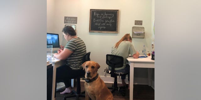 Two Gaddy children study independently at home with their dog, Beau.