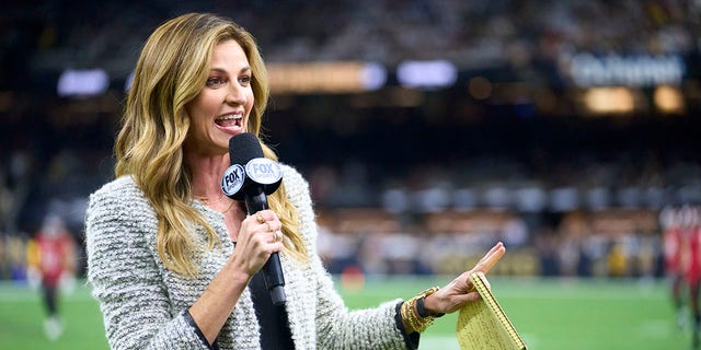 Erin Andrews recalls terrifying moment driver fell asleep at the wheel ...