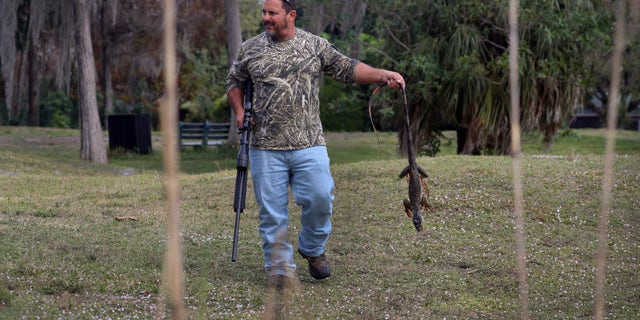 Ivan Edwards brings his catch back to the boat after shooting it along a river in south Florida on Feb. 11, 2022.