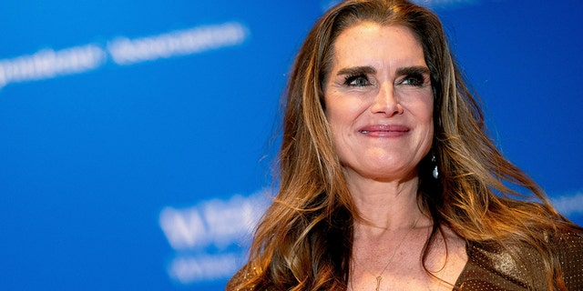 Brooke Shields said she was "rejected" by other people during her separation from Chris.