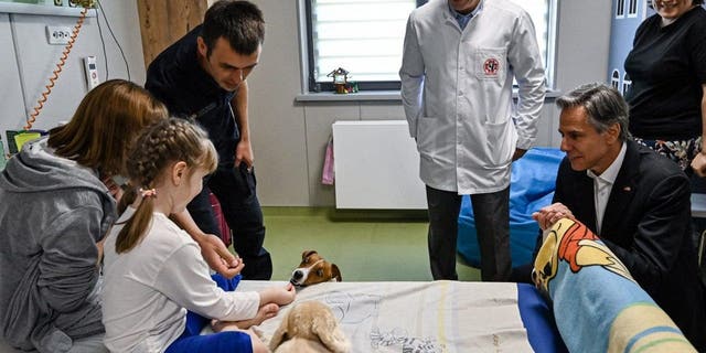 Marina, 6, from Kherson region plays with a landmine sniffer dog, Jack Russell Terrier Patron, during U.S. Secretary of State Antony Blinken's (R) visit to a children's hospital in Kyiv on September 8, 2022. 