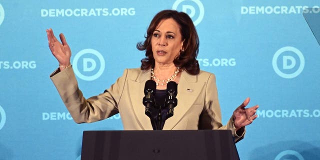 Vice President Kamala Harris speaks during the Democratic National Committee summer meeting in National Harbor, Maryland, on Saturday, Sept.  10, 2022.