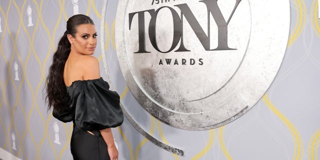 Lea Michele has acknowledged in the past that she can in fact read, although a rumor that she can't continues to permeate.