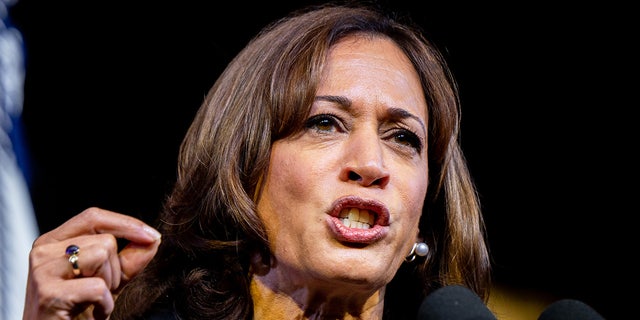 Vice President Kamala Harris said Saturday during the DNC's summer meeting that she "can't wait" to end the Senate filibuster.