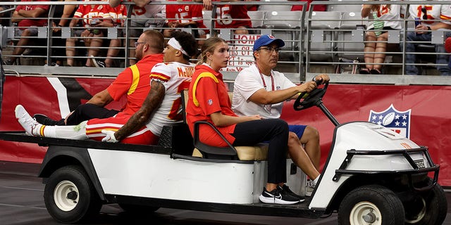 Andy Reid Blames Pair Of Chiefs' Injuries On Cardinals' Field: 'It's ...