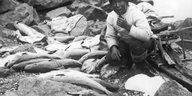 An Inuit man with his catch of fish, Greenland, circa 1930. Clarence Birdseye was inspired to pioneer commercial frozen food by watching Inuit fishermen.