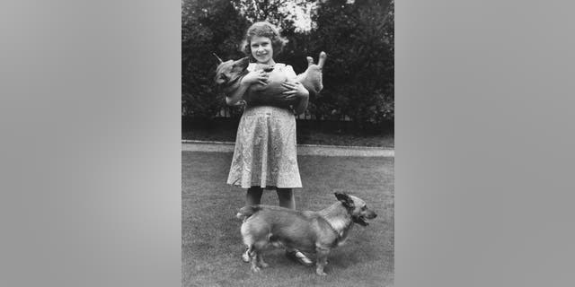 Princess Elizabeth with two corgi dogs at her home in London in July 1936.