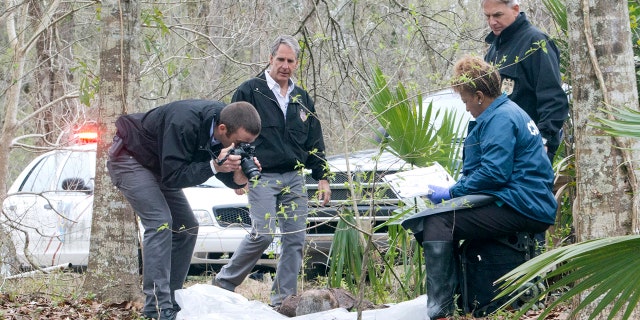 From left: Lucas Black as Special Agent Christopher LaSalle, Scott Bakula as Special Agent Dwayne Pride, CCH Pounder as Dr. Loretta Wade (seated) and Mark Harmon as Special Agent Leroy Jethro Gibbs. The pilot for "NCIS: New Orleans" was shot as a two-part episode of "NCIS."