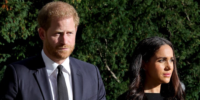 Prince Harry and Meghan Markle, the Duke and Duchess of Sussex, have been demoted from the royal family's website.