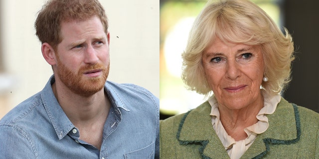 La correspondante et auteure de Vanity Fair, Katie Nicholl, a allégué que Camilla (à droite) "crachoter dans son thé" lorsque son beau-fils, le prince Harry (à gauche), a suggéré de faire appel à un médiateur.