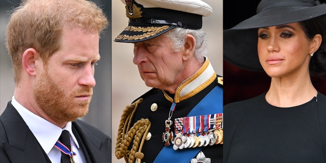 Royal expert Shannon Felton Spence said she is in