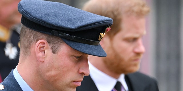 Prince Harry's older brother, Prince William (front), is heir to the British throne.