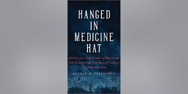 This deep dive into history takes readers back to World War II.