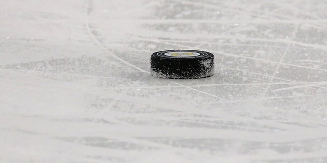 A general view of the game puck.