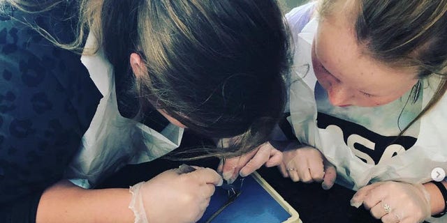 Two of the Gaddy kids study high school biology as they dissect an earthworm at home.