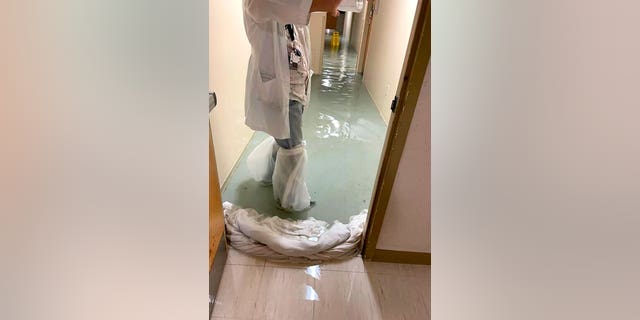 In this photo provided by Dr. Birgit Bodine, a staff member stands in a flooded hallway at HCA Florida Fawcett Hospital in Port Charlotte, Fla., Wednesday, Sept. 28, 2022. Hurricane Ian swamped the Florida hospital from both above and below, the storm surge flooding its lower level emergency room while fierce winds tore part of its fourth floor roof from its intensive care unit, according to Bodine, who works there. (Dr. Birgit Bodine via AP)
