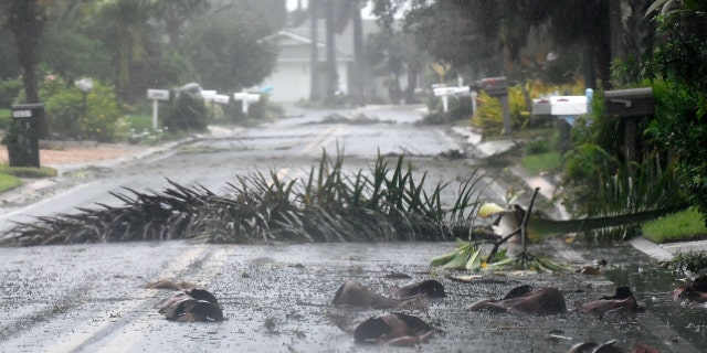 Debris litters a street in a neighborhood of St. Pete Beach as the winds from Hurricane Ian arrive on Sept. 28, 2022, in St. Petersburg, Florida.