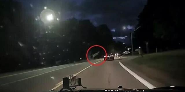 The state of Michigan sees about 50,000 vehicle-deer crashes every year.