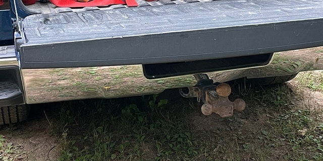 Dave, a pit bull mix, is shown sitting in the back of his family's pickup truck in Michigan.