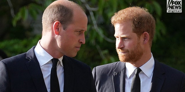 prince harry and prince william looking at each other during walkabout