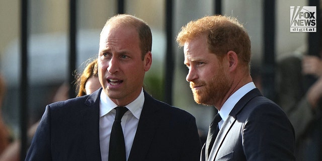 Prince William and Prince Harry view the tribute left after the death of Queen Elizabeth II at Windsor Castle, Windsor, Berkshire, UK, September 10, 2022