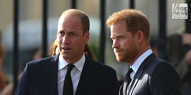 Prince William and Prince Harry view the tributes left after the Death of Queen Elizabeth II, at Windsor Castle, Windsor, Berkshire, UK, September 10, 2022