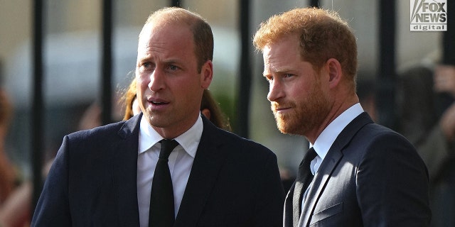 Prince William and Prince Harry view the tributes left after the Death of Queen Elizabeth II, at Windsor Castle, Windsor, Berkshire, UK, September 10, 2022