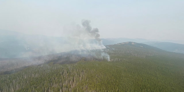 The No Grass Creek Fire burning through forest