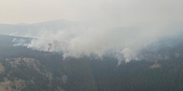 The No Grass Creek fire is between 600-700 acres.