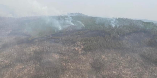 The No Grass Creek fire started on Sunday afternoon. 