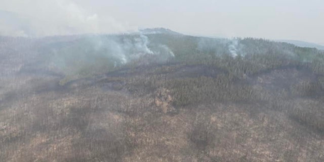 The No Grass Creek fire started on Sunday afternoon.