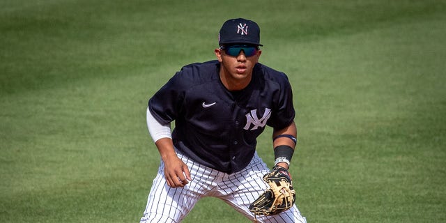 New York Yankees' prospect Oswald Peraza plays shortstop in a spring training game against the Detroit Tigers at George M. Steinbrenner Field in Tampa, Florida, on March 5, 2021.