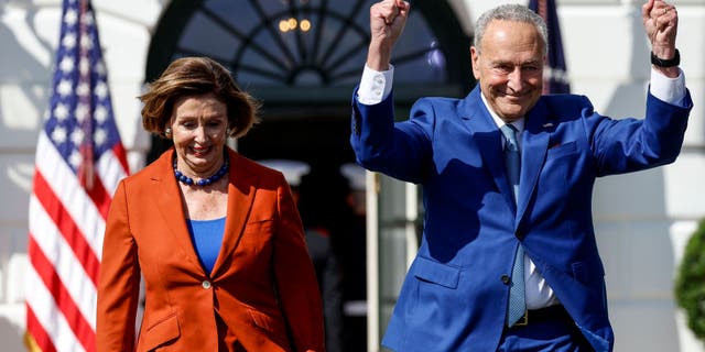 U.S. Speaker of the House Nancy Pelosi (D-CA) and Senate Majority Leader Chuck Schumer (D-NY) are working this week to avoid a partial government shutdown. (Photo by Anna Moneymaker/Getty Images)