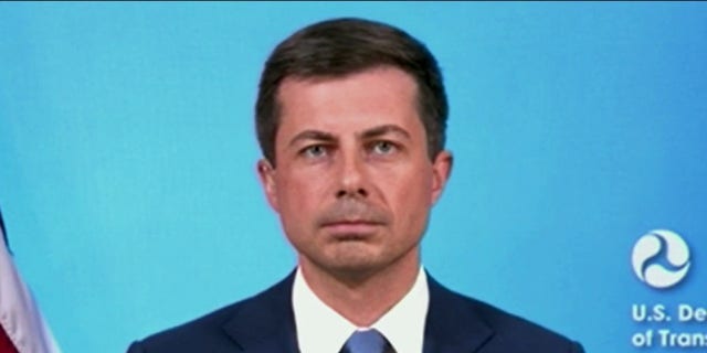 Transportation Secretary Pete Buttigieg was criticized over the handing of an FAA systems glitch that hampered domestic airline travel.