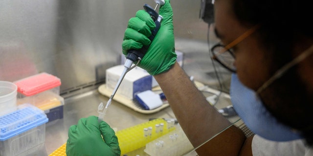 Výskumný asistent pripravuje PCR reakciu na detskú obrnu v laboratóriu na Queens College 25. augusta 2022 v New Yorku. 