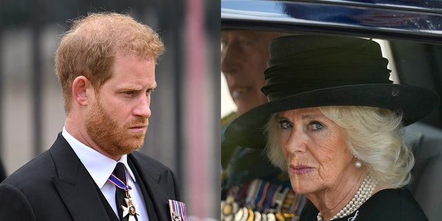 Prince Harry; Queen Consort Camilla 