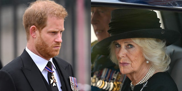 Prince Harry accused his stepmother Camilla, the queen consort, of leaking private conversations to the media.