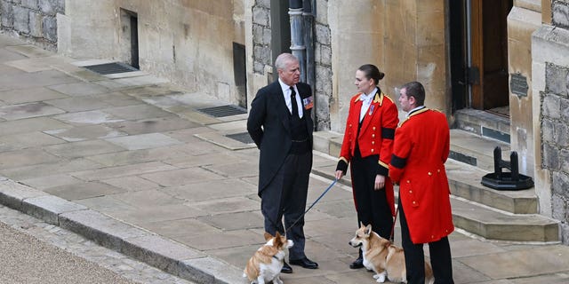 Prince Andrew stands with the queen's corgis, Muick and Sandy, outside Windsor Castle on Sept. 19, ahead of the committal service for Queen Elizabeth II.